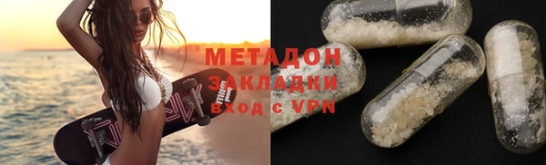 прущие грибы Алзамай