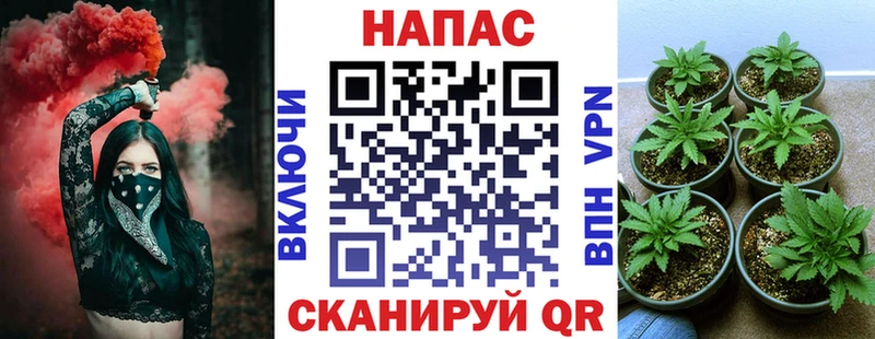 кракен рабочий сайт  Кореновск  Каннабис OG Kush 